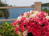 Apartments Villa Julija, Mali Losinj 