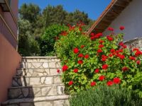Apartments Villa Julija, Mali Losinj 